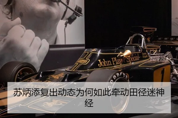 su-bing-tian-fu-chu-dong-tai-wei-he-ru-ci-qian-dong-tian-jing-mi-shen-jing-2-743.jpg