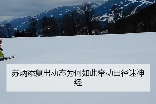 苏炳添复出动态为何如此牵动田径迷神经